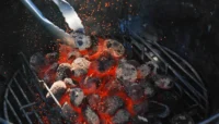 coconut charcoal indonesia