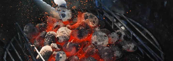 coconut charcoal indonesia